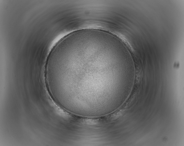 X0000090871086200707271245