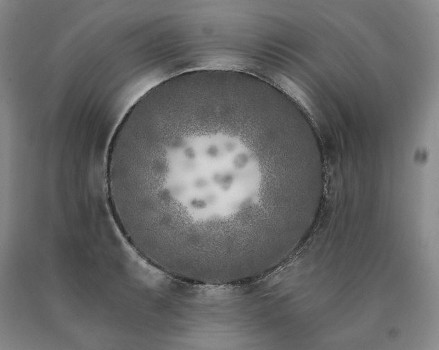 X0000090871087200707271245