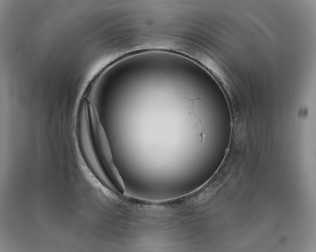 X0000090871088200707271245