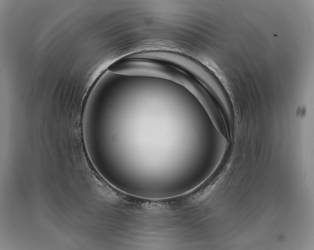 X0000090871089200707271245