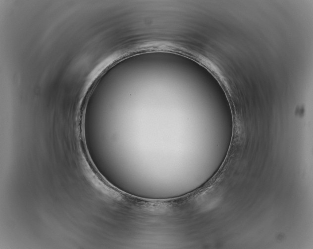 X0000090871090200707271245