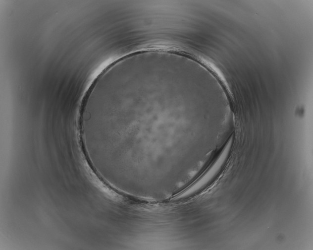 X0000090871091200707271245