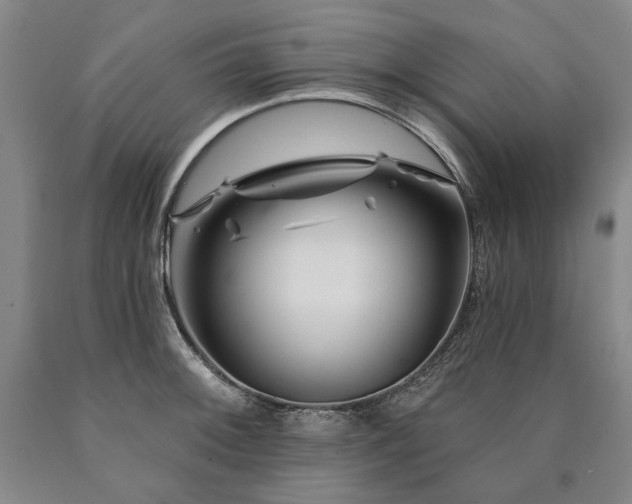 X0000090871092200707271245
