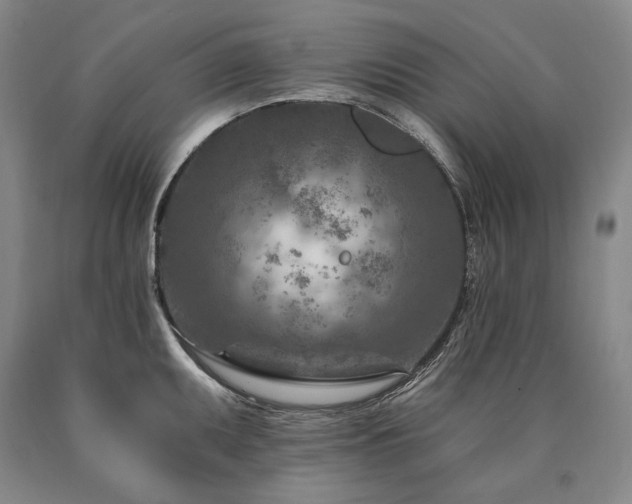 X0000090871095200707271245