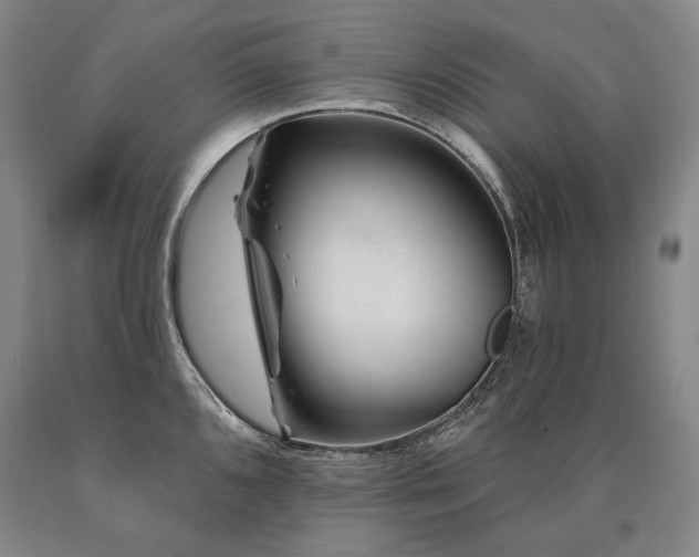 X0000090871096200707271245