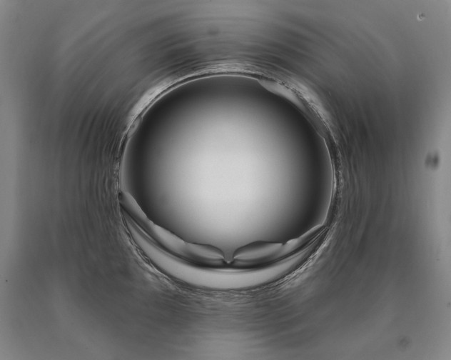 X0000090871097200707271245