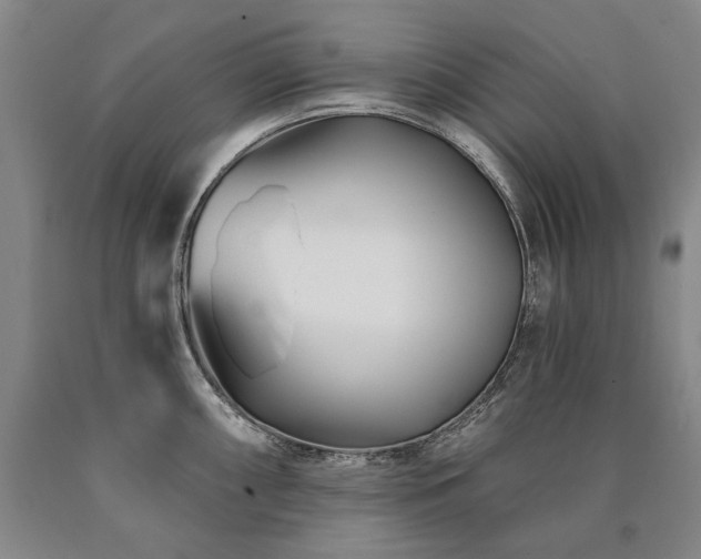 X0000090871098200707271245