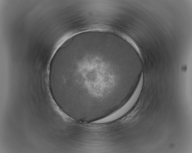 X0000090871099200707271245