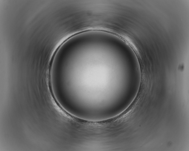 X0000090871100200707271245