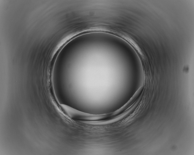 X0000090871101200707271245