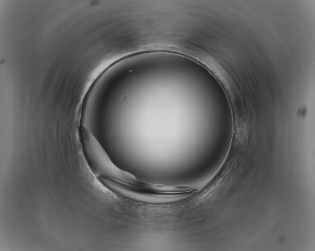 X0000090871102200707271245