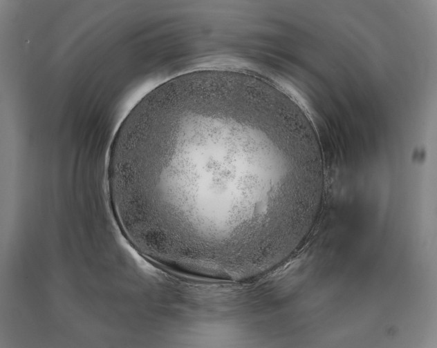 X0000090871103200707271245