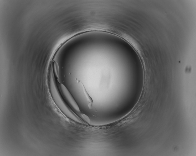 X0000090871104200707271245