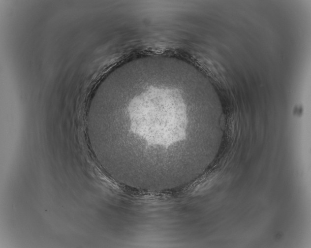 X0000090871105200707271245