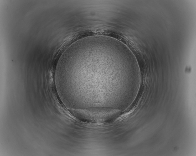 X0000090871106200707271245