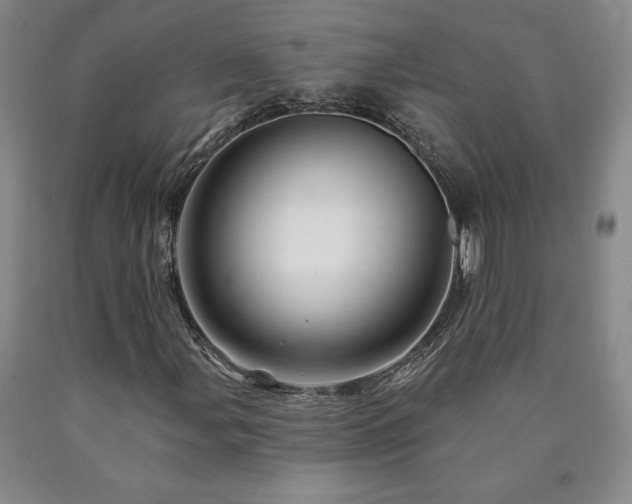 X0000090871107200707271245