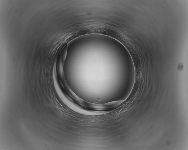 X0000090871108200707271245