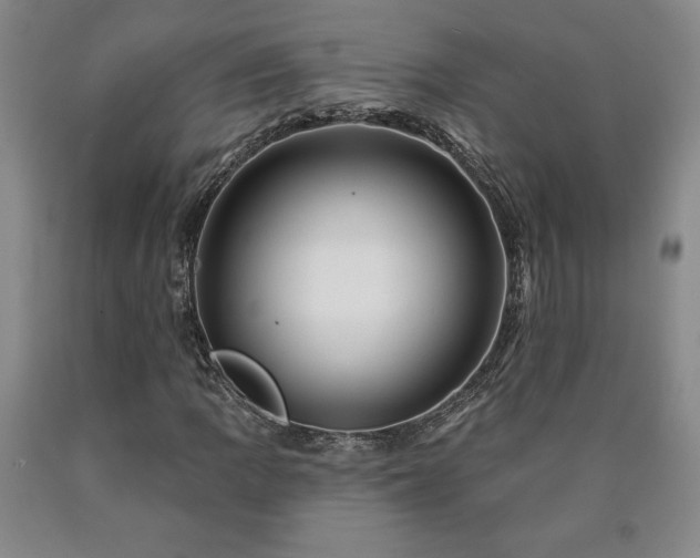 X0000090871109200707271245