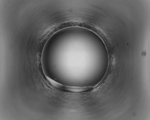 X0000090871110200707271245