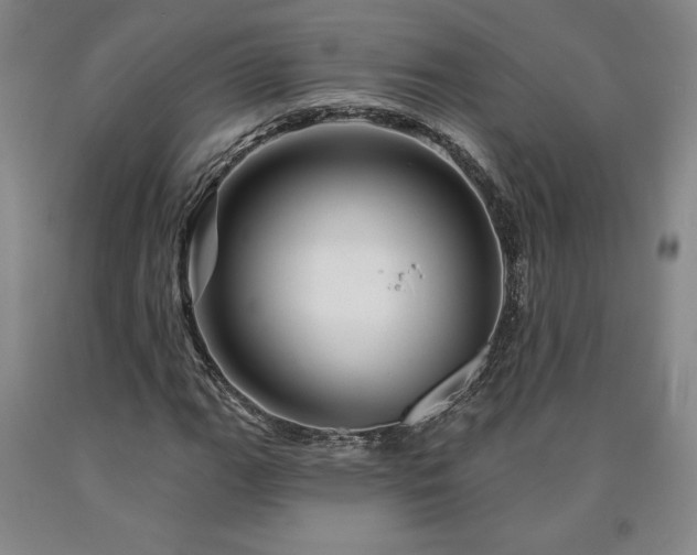 X0000090871111200707271245