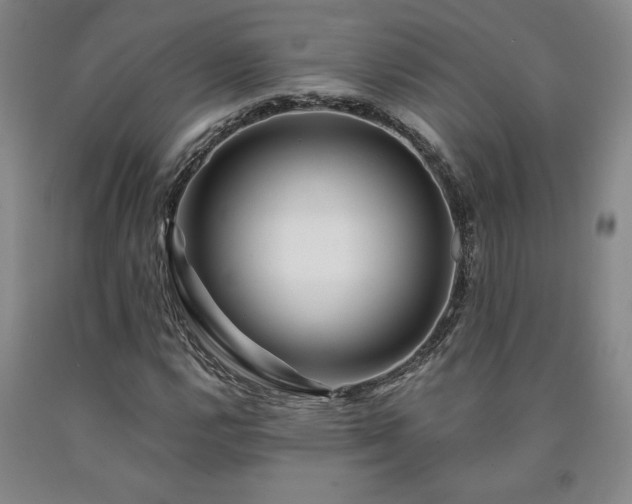 X0000090871112200707271245