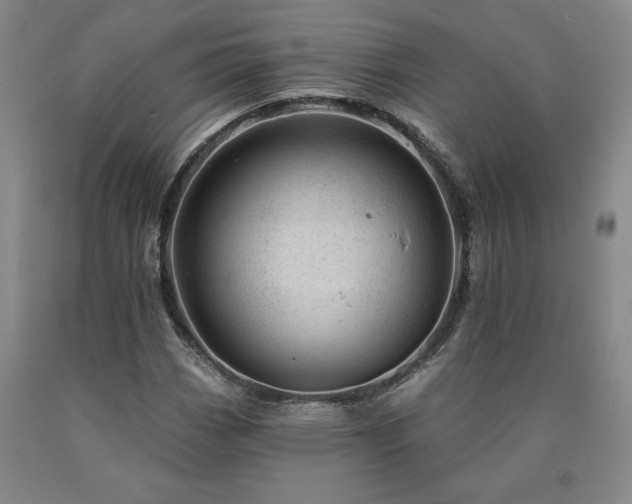 X0000090871113200707271245