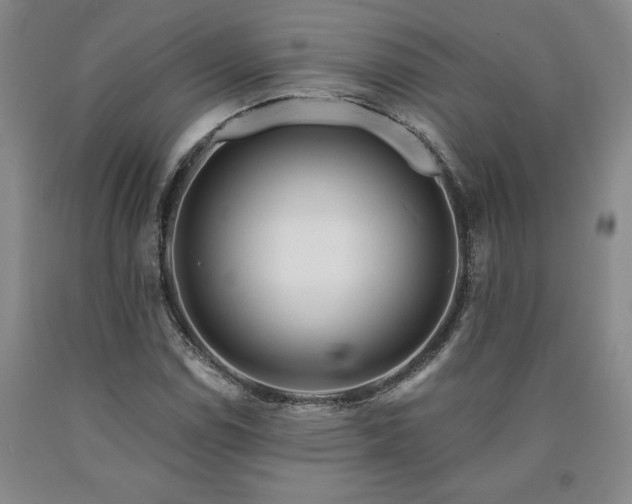 X0000090871114200707271245