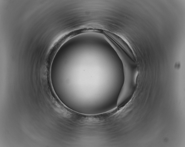 X0000090871115200707271245