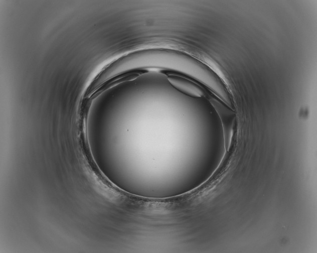 X0000090871116200707271245