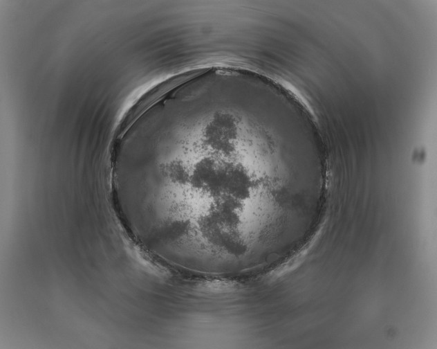 X0000090871117200707271245
