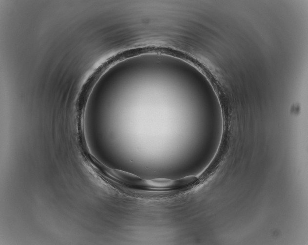 X0000090871118200707271245