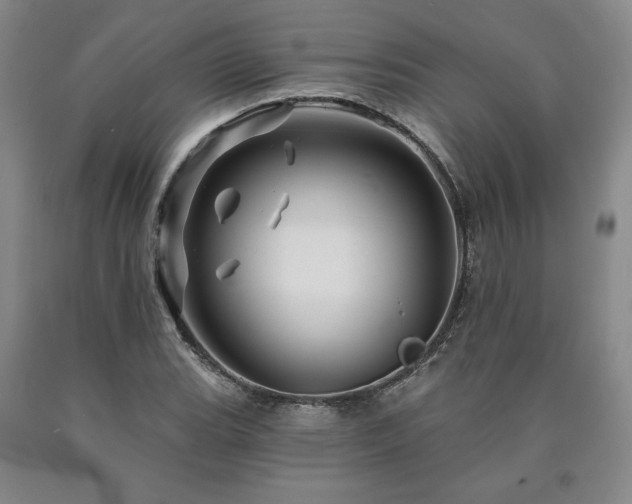 X0000090871119200707271245