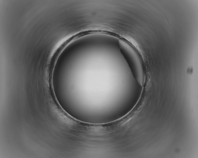 X0000090871120200707271245