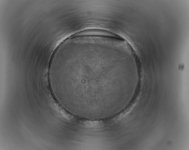 X0000090871121200707271245