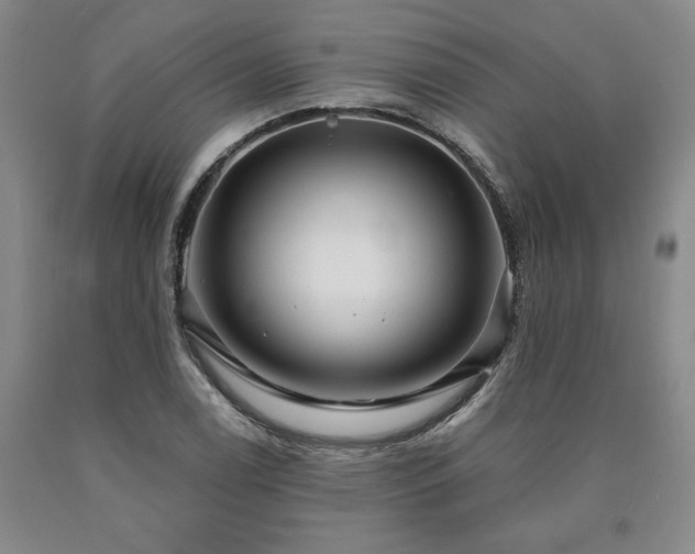 X0000090871122200707271245