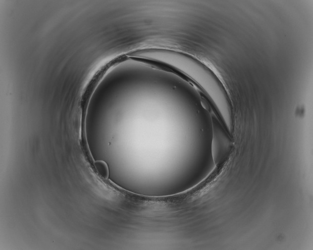 X0000090871123200707271245