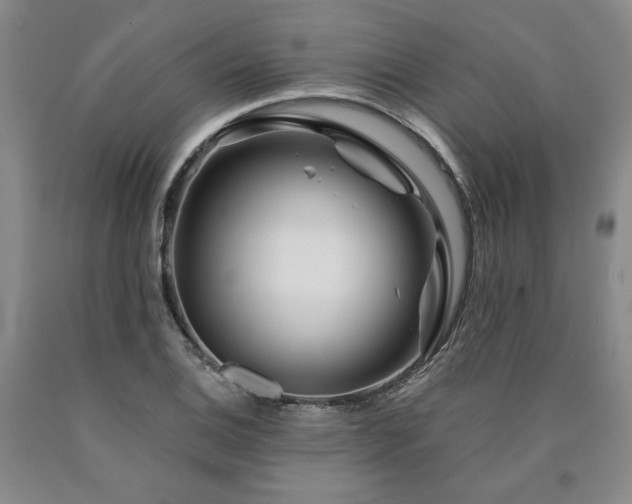 X0000090871124200707271245