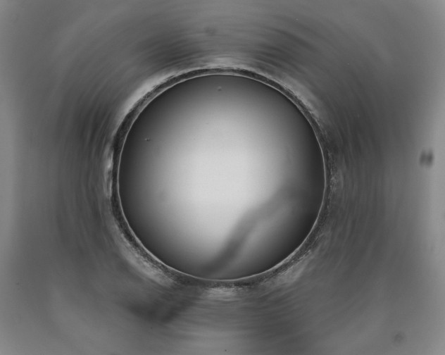 X0000090871126200707271245
