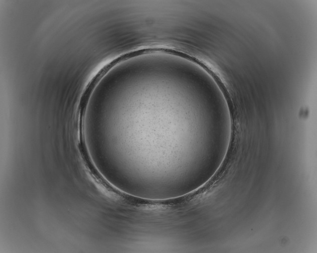 X0000090871127200707271245