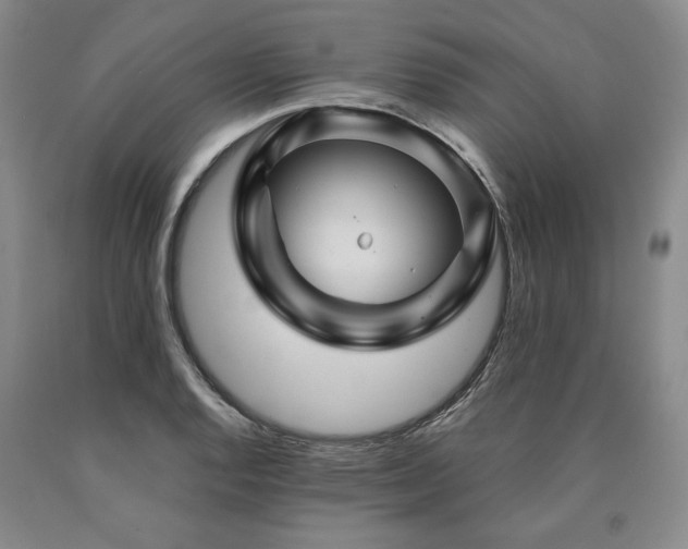X0000090871128200707271245