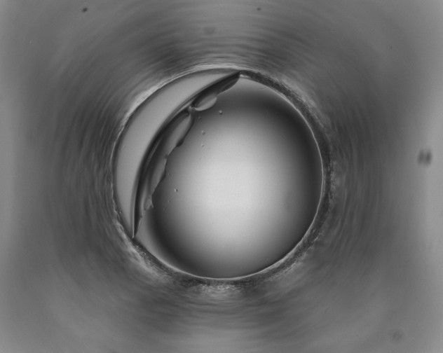 X0000090871129200707271245
