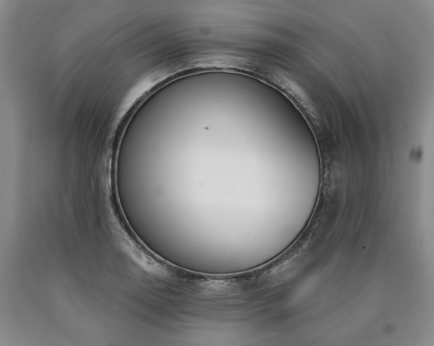 X0000090871130200707271245