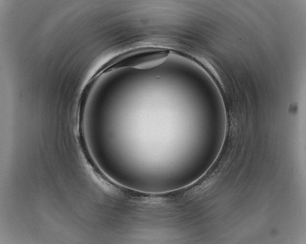 X0000090871131200707271245