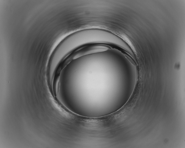 X0000090871132200707271245