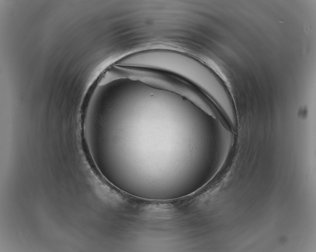 X0000090871133200707271245
