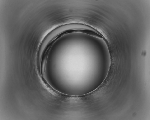 X0000090871134200707271245