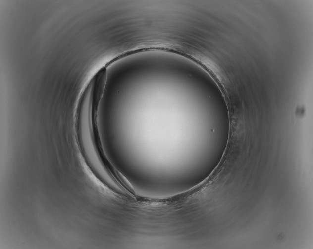 X0000090871135200707271245