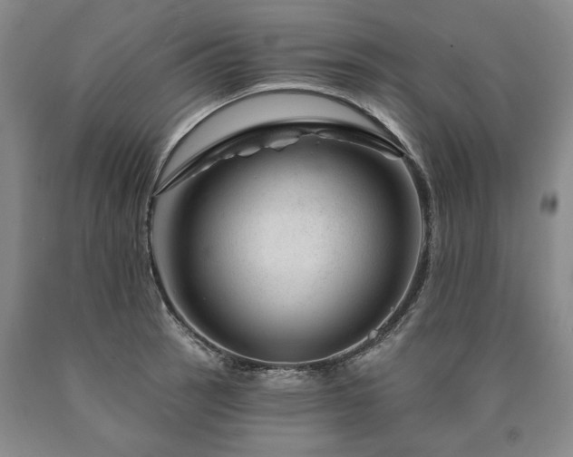 X0000090871137200707271245