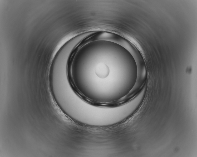 X0000090871138200707271245