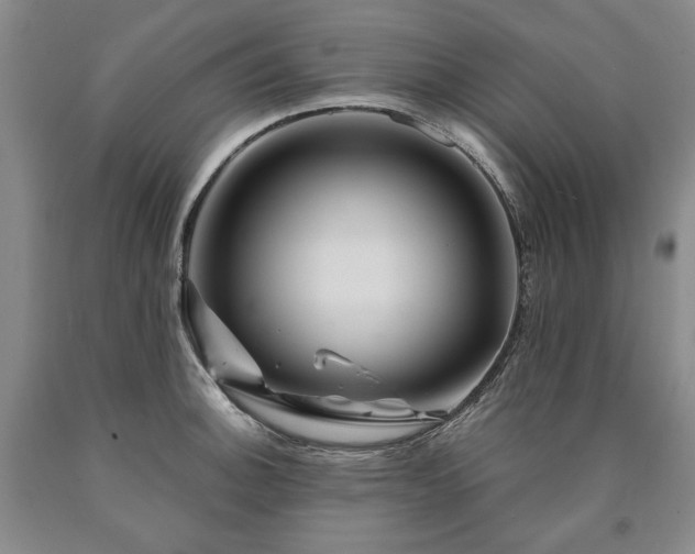 X0000090871140200707271245